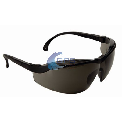 Lunettes CLIMAX 590-A