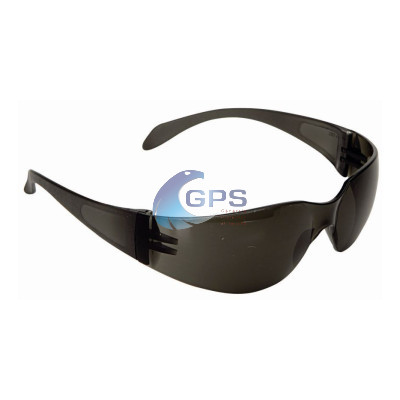 Lunettes CLIMAX 590-G